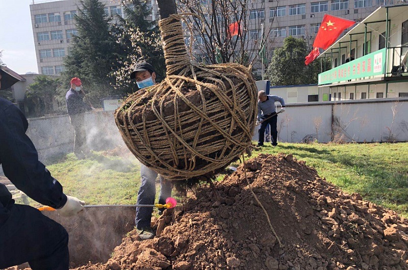 微信图片_20200318142218.jpg 微信图片_20200318142218.jpg