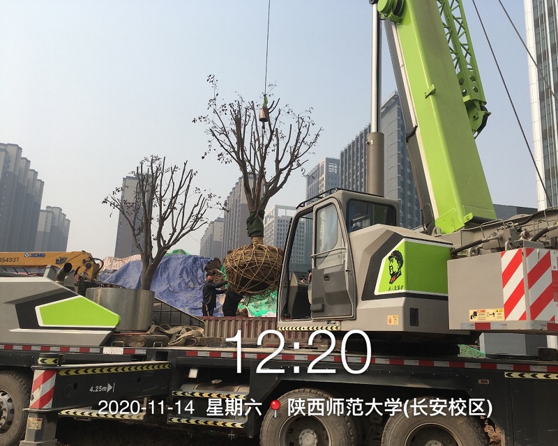 微信图片_20201115111235.jpg 微信图片_20201115111235.jpg