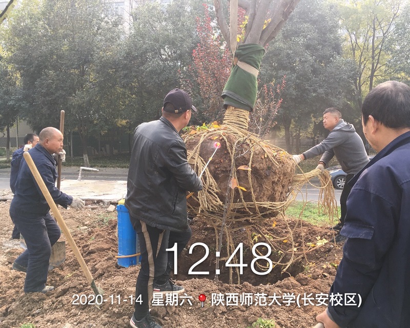 微信图片_20201115111201.jpg 微信图片_20201115111201.jpg