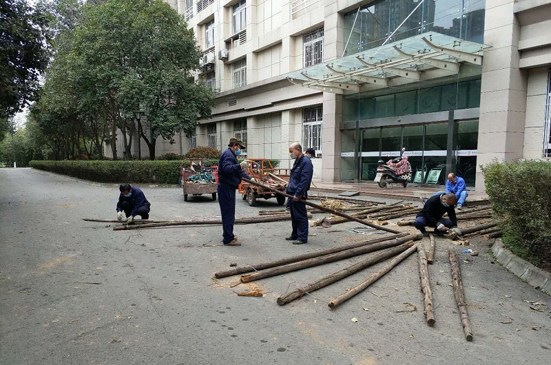微信图片_20200316181957.jpg 微信图片_20200316181957.jpg