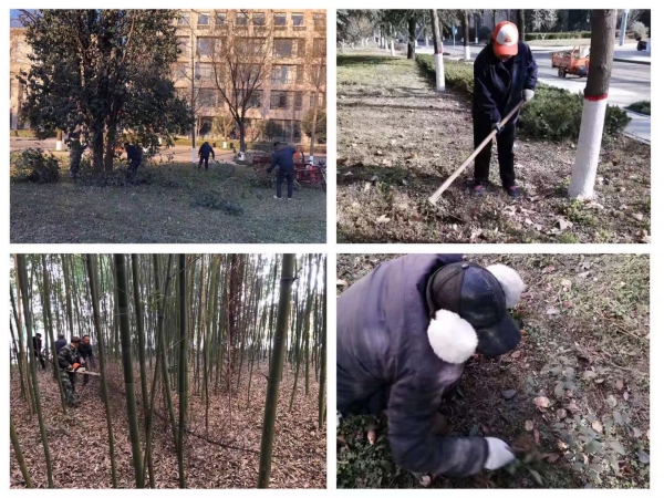 图5.jpg 图5.jpg