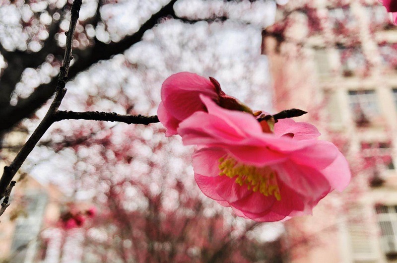 微信图片_20200305144312.jpg