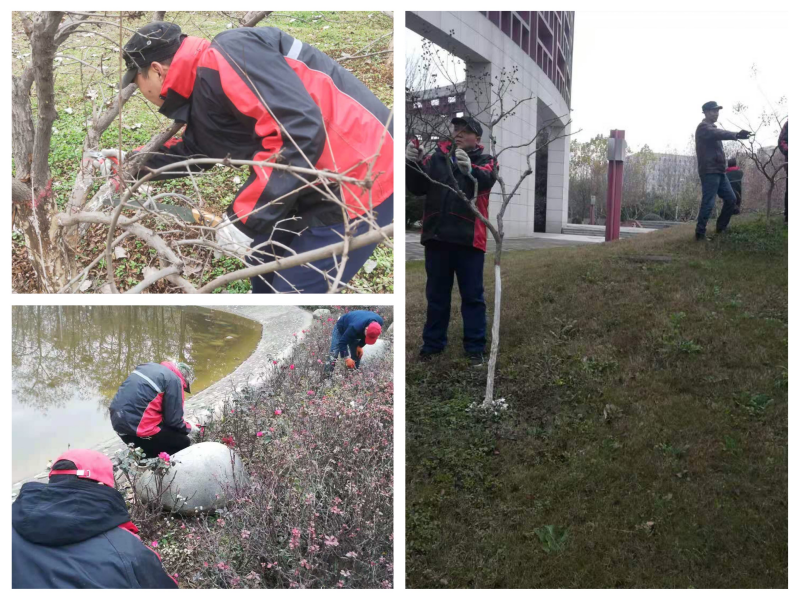 WPS图片-修改尺寸.png WPS图片-修改尺寸.png