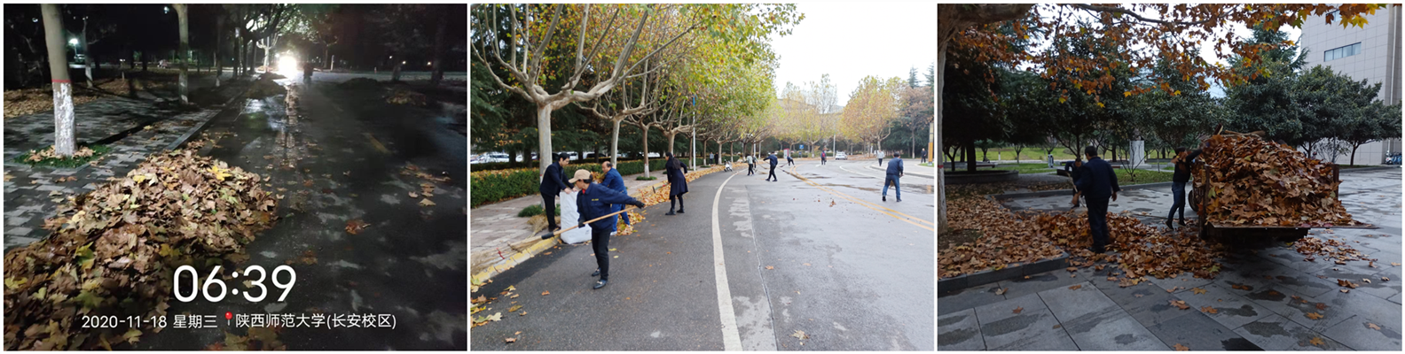 异常天气清扫落叶_副本.png 异常天气清扫落叶_副本.png