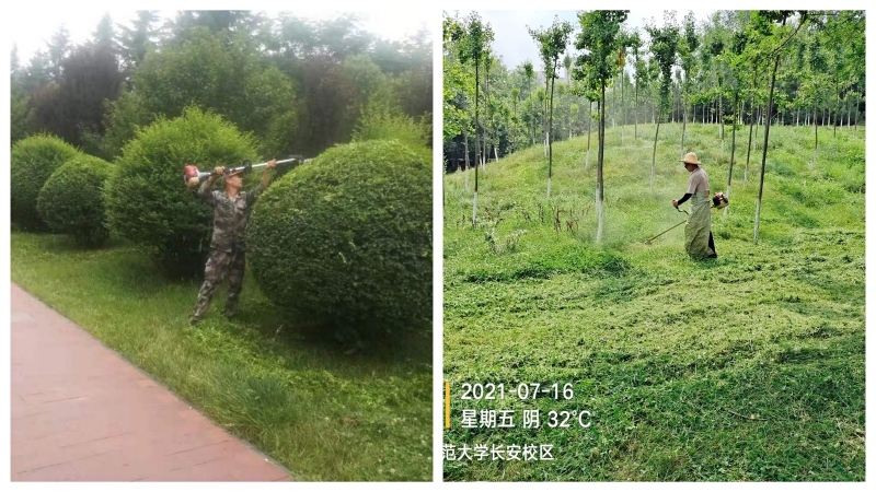 图5.jpg