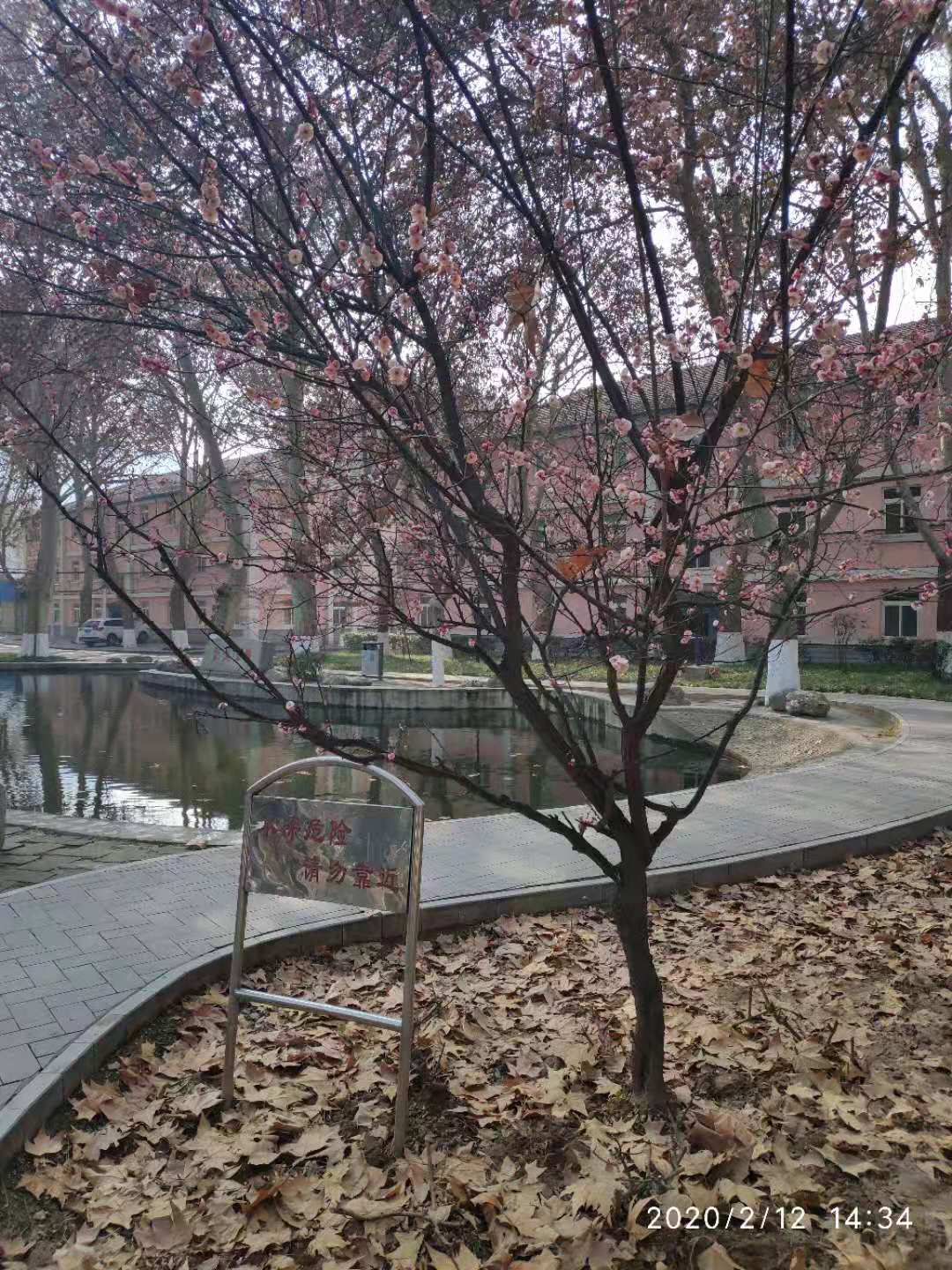 微信图片_20200212164516.jpg