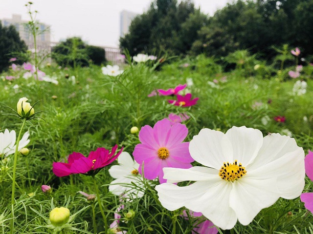 微信图片_20200923105734.jpg 微信图片_20200923105734.jpg
