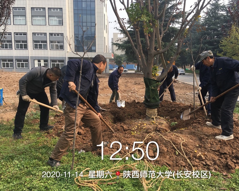 微信图片_20201115111956.jpg 微信图片_20201115111956.jpg