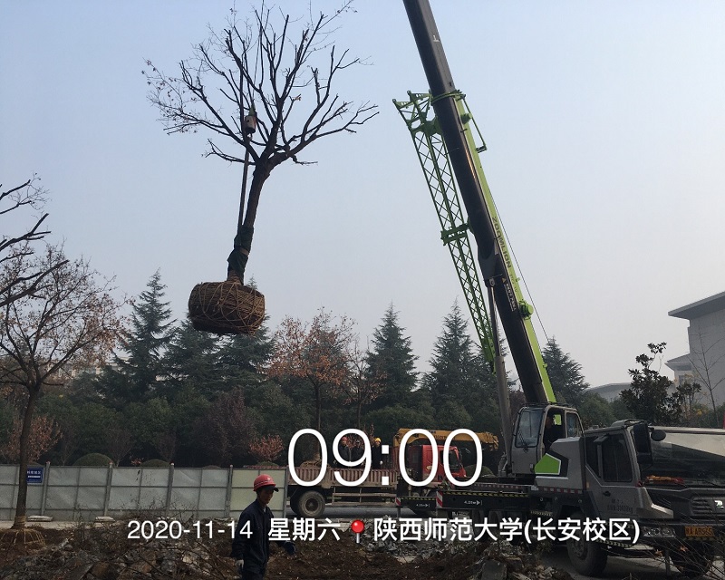 微信图片_20201115111405.jpg 微信图片_20201115111405.jpg