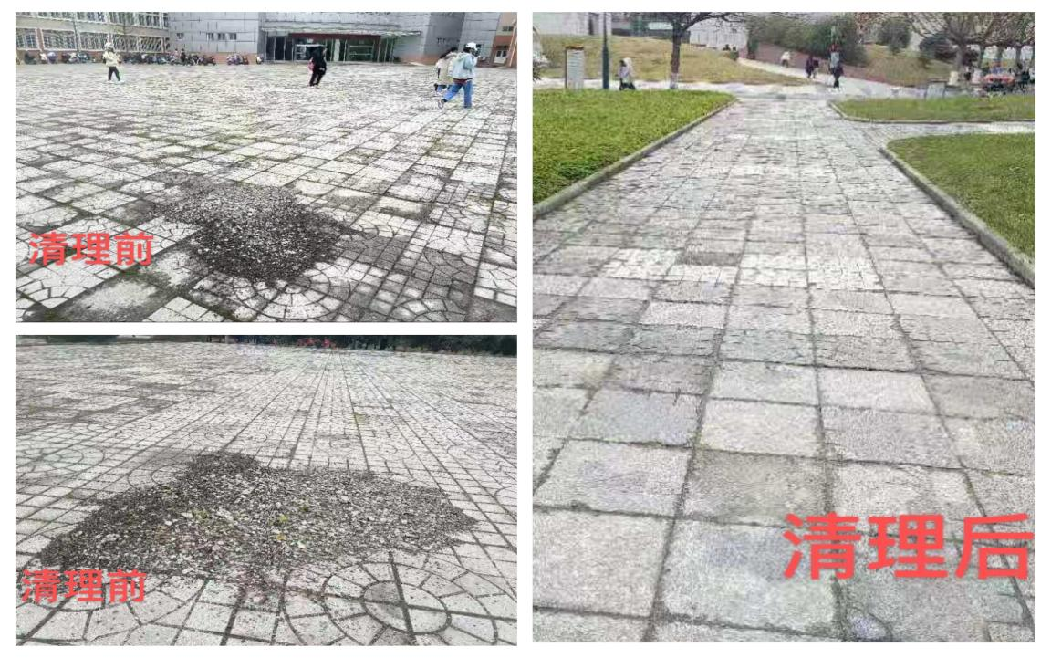 图片8.png 图片8.png