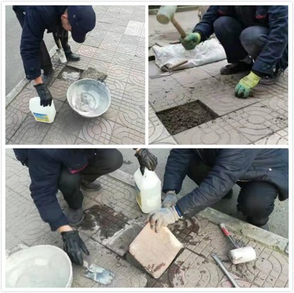 图片5.jpg 图片5.jpg