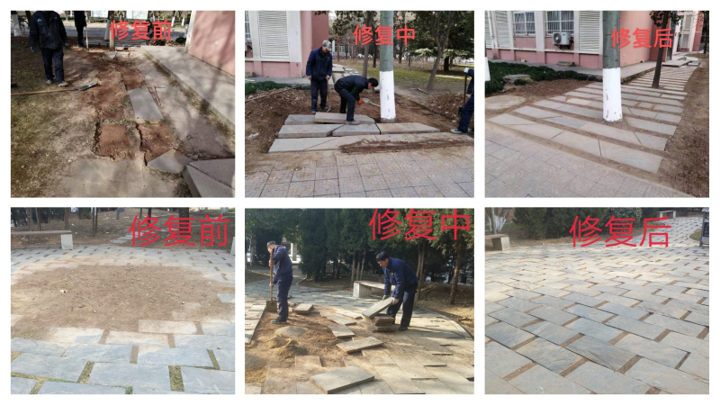 图片13.png 图片13.png
