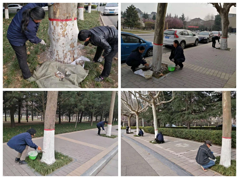 图7.jpg 图7.jpg
