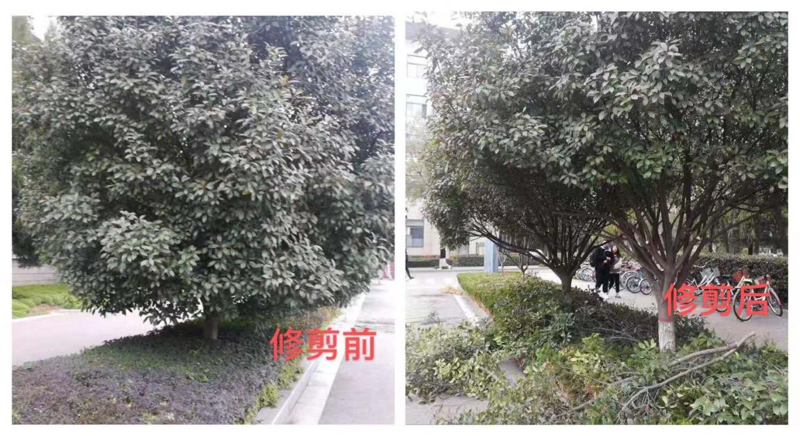 图片5.png 图片5.png