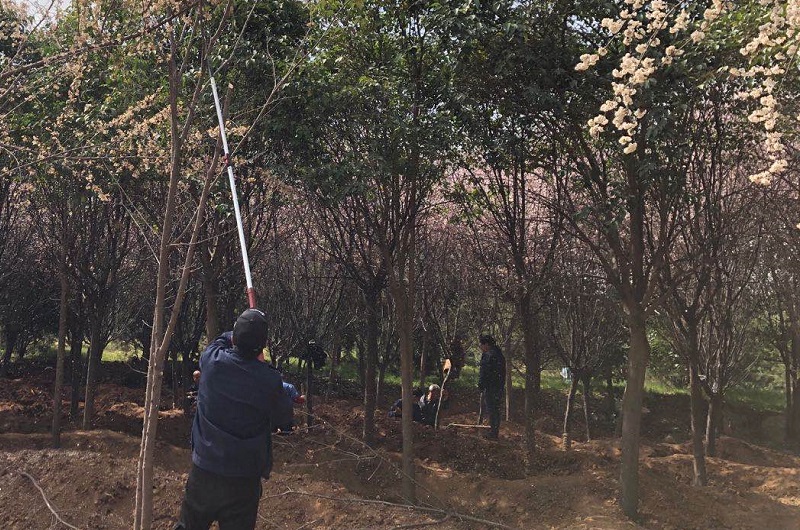 微信图片_20200316183515.jpg 微信图片_20200316183515.jpg