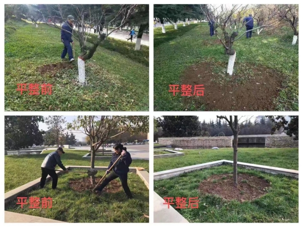 图片6.png 图片6.png