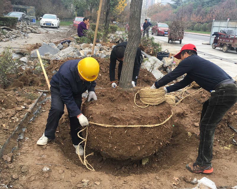 微信图片_20201115111909.jpg 微信图片_20201115111909.jpg