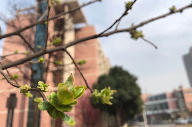 微信图片_20200305144301.jpg