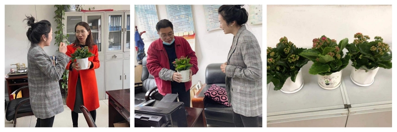 图片9.png
